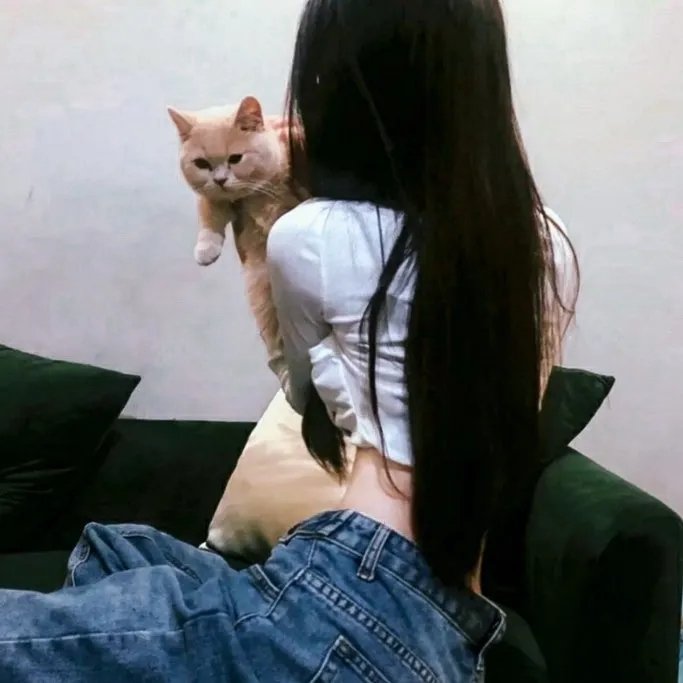 漫步夏威夷 在线观看